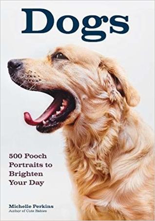 Dogs: 500 Pooch Portraits to Brighten Your Day (Paperback)