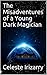 The Misadventures of a Young Dark Magician by Celeste Irizarry