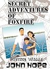 Busting Walls (Secret Adventures of Foxfire #1)