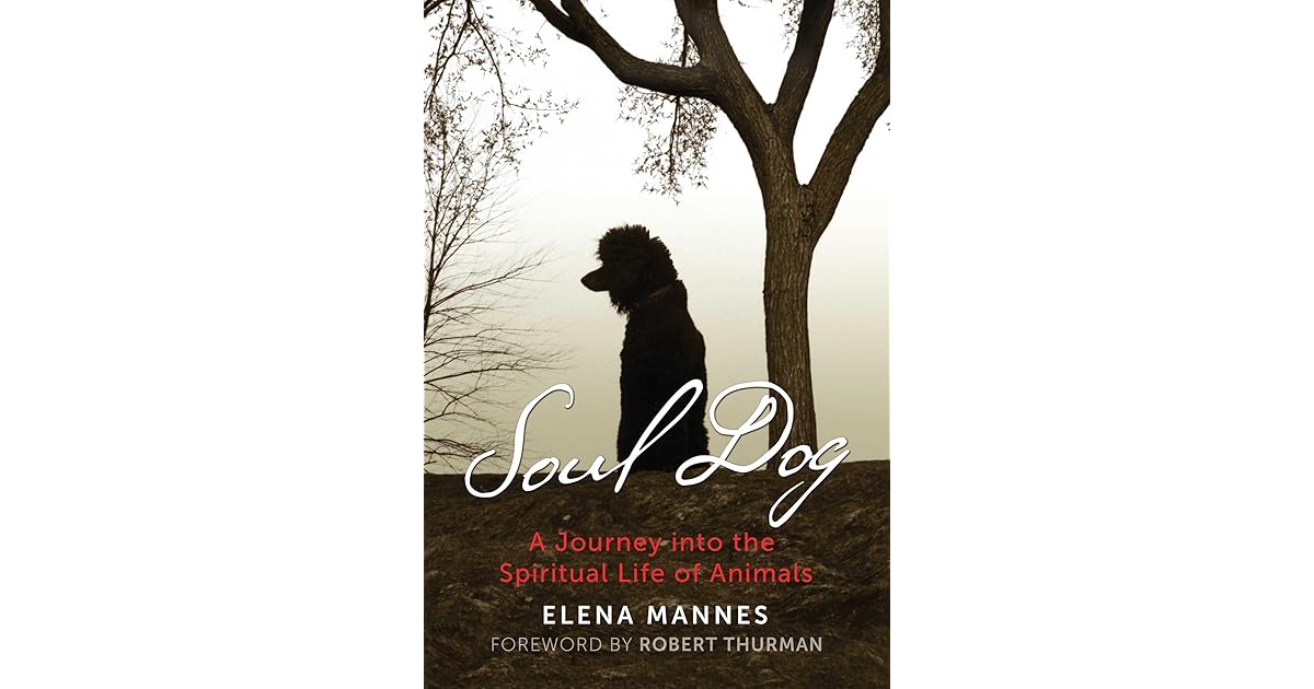 Soul Dog A Journey into the Spiritual Life of Animals by Elena Mannes