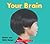 Your Brain