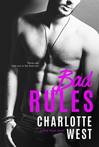 Bad Rules (Wild Minds, #3)