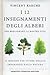 I 12 insegnamenti degli alberi per migliorare la nostra vita