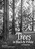 Trees in Black & White: A V...