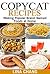 Copycat Recipes by Lina Chang