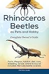 Rhinoceros Beetle...