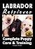 Labrador Retriever: Complete Puppy Care & Training