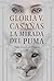 La mirada del puma: Hechizo...