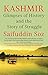 Kashmir by Saifuddin Soz