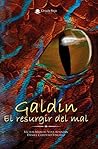 Galdin by Víctor Manuel Vera Almazán
