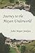 Journey to the Mayan Underw...