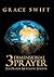 3 Dimensional Prayer: The Prayer Movement Edition