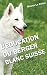 L'EDUCATION DU BERGER BLANC...