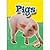 Pigs