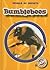 Bumblebees (Blastoff Reader...