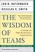Wisdom of Teams: Creating the High-Performance Organization