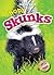 Baby Skunks