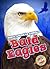 Bald Eagles (North American...