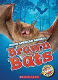 Brown Bats (North American Animals)