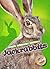 Jackrabbits (Blastoff Reade...