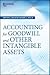 Accounting for Goodwill and Other Intangible Assets (Wiley Corporate F&A)