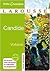 Candide