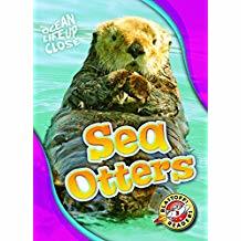 Sea Otters