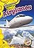 Airplanes (Mighty Machines in Action)