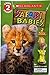 Safari Babies