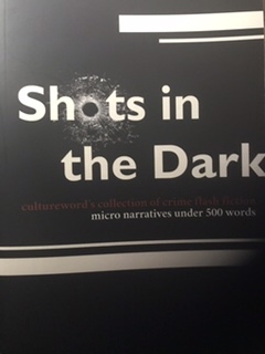 Shots in the Dark