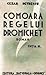 Comoara regelui Dromichet (Pământ și cer, #1)