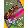 Milkweed Bugs