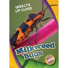 Milkweed Bugs (Insects Up Close)