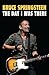 Bruce Springsteen: The Day I Was There: Over 250 accounts from fans that have witnessed a Bruce Springsteen live show