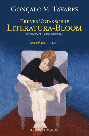 Breves Notas Sobre Literatura-Bloom (Paperback)