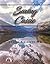 Saving Cassie (Stone Knight...