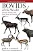 Bovids of the World: Antelo...