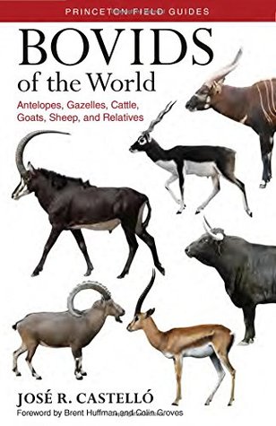Bovids of the World: Antelopes, Gazelles, Cattle, Goats, Sheep, and Relatives (Princeton Field Guides)