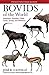 Bovids of the World by José R. Castelló