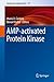 AMP-activated Protein Kinase by CORDERO