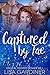 Captured by Fae (Magical Mayhem Ménage, #1)