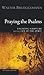 Praying the Psalms: Engaging Scripture and the Life of the Spirit