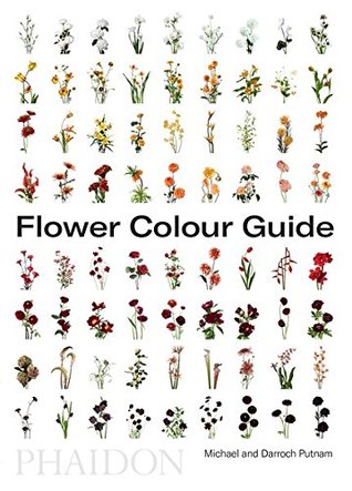 FLOWER COLOUR GUIDE (Paperback)