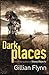 Dark Places by Gillian Flynn