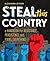 Steal This Country: A Handbook for Resistance, Persistence, and Fixing Almost Everything
