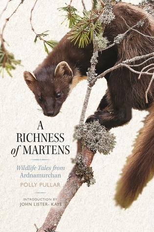 A Richness of Martens (Paperback)