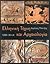 Ελληνική τέχνη και αρχαιολογία 1100-30 π.Χ.