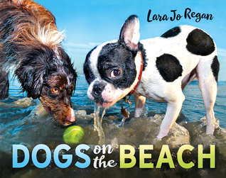 Dogs on The Beach (Hardcover)