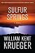 Sulfur Springs (Cork O'Connor)