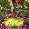 If You Could See Me Now by Cecelia Ahern